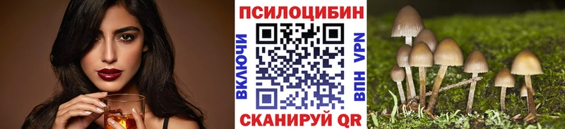 darknet официальный сайт  что такое наркотик  кракен маркетплейс  Дыгулыбгей  Галлюциногенные грибы MAGIC MUSHROOMS 